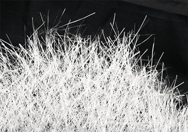 Polylactic acid fiber in one article
